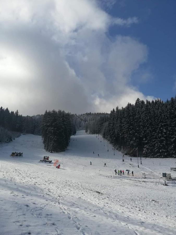Penzion Ctyrlistek Teplice nad Metují Exteriör bild