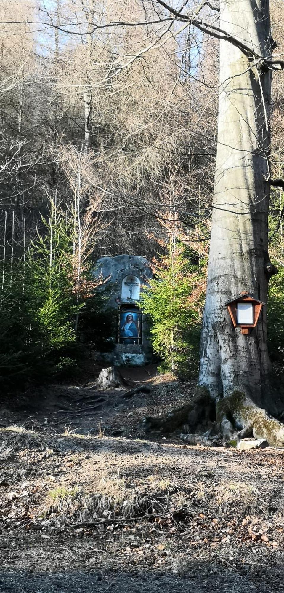 Penzion Ctyrlistek Teplice nad Metují Exteriör bild