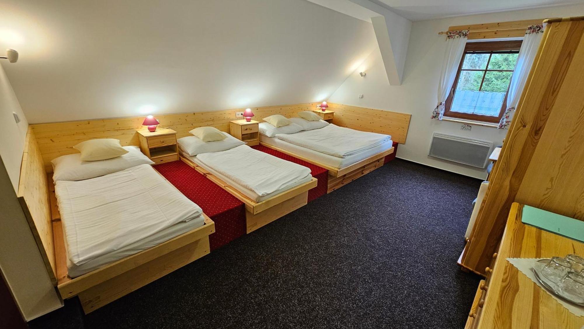 Penzion Ctyrlistek Teplice nad Metují Exteriör bild