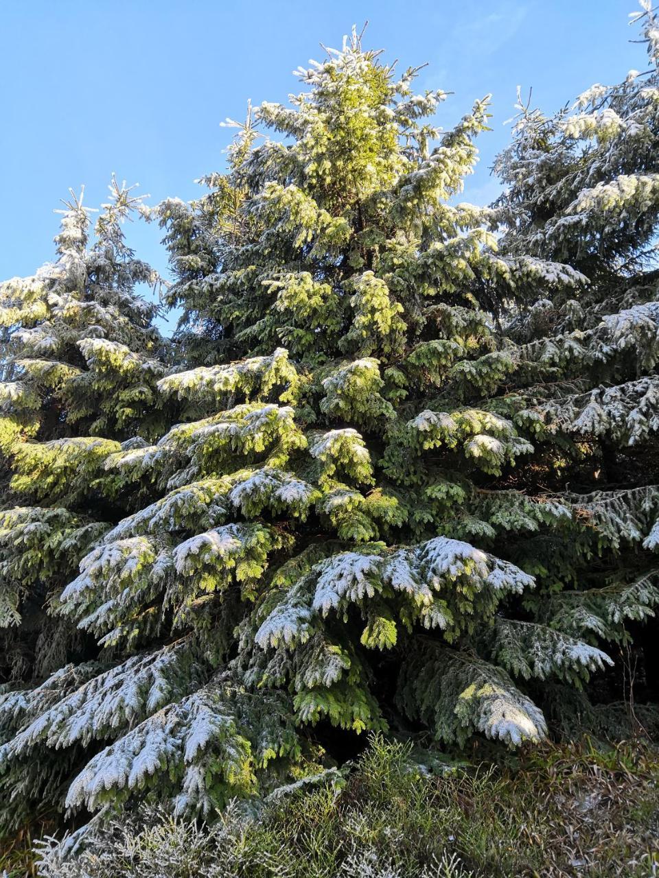 Penzion Ctyrlistek Teplice nad Metují Exteriör bild